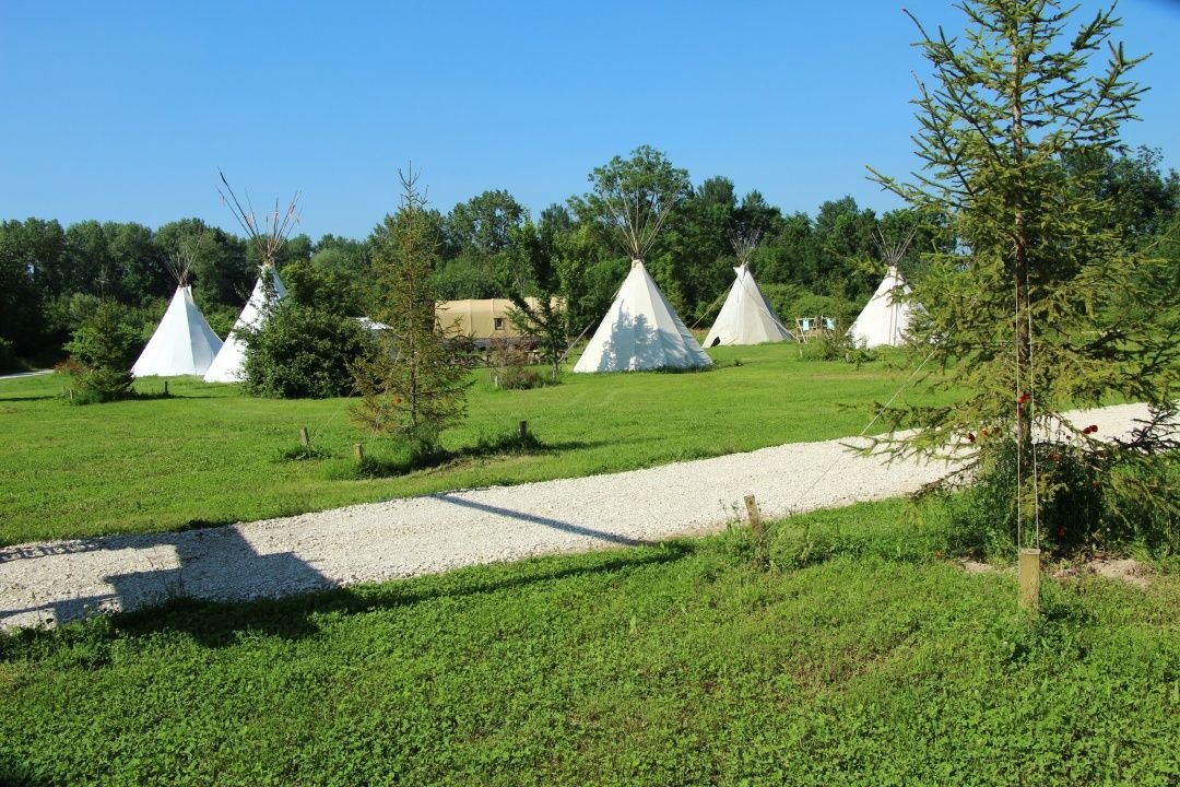 Tipis
